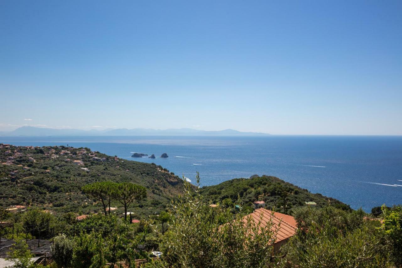 Geca'S House - Panoramic Sea View Studio Massa Lubrense Exterior photo